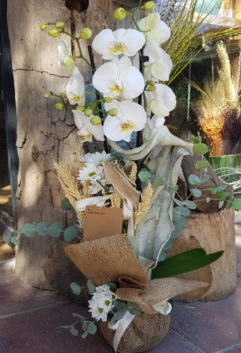 Sevimli Seramik Vazoda 2 Dal Beyaz Orkide