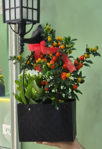Dekoratif Çantada Kalançuha ve Solanum Pseudocapsicum